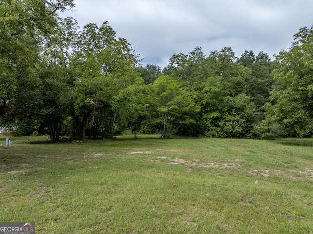 202 East Welch Street Sylvester, GA 31791 - Photo 11 of 21