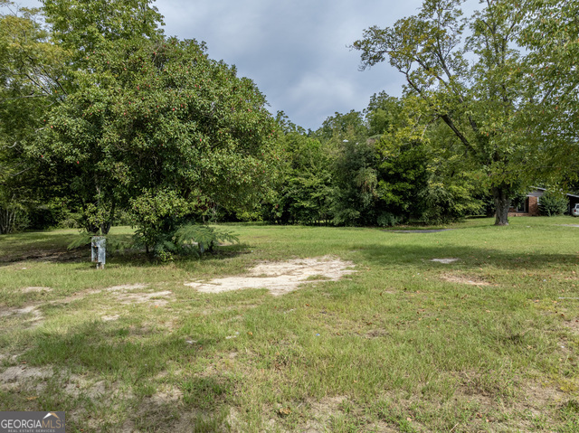 202 East Welch Street Sylvester, GA 31791 - Photo 16 of 21