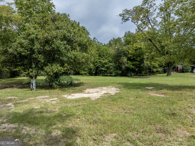 202 East Welch Street Sylvester, GA 31791 - Photo 18 of 21