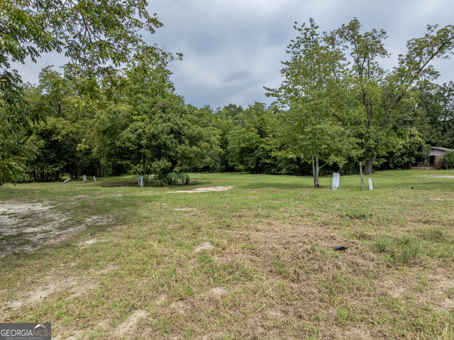 202 East Welch Street Sylvester, GA 31791 - Photo 10 of 21