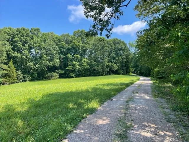 a view of a garden with an trees