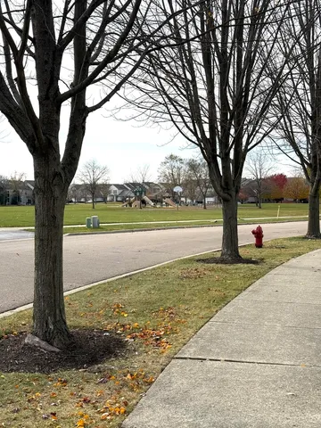 a view of a yard with a tree