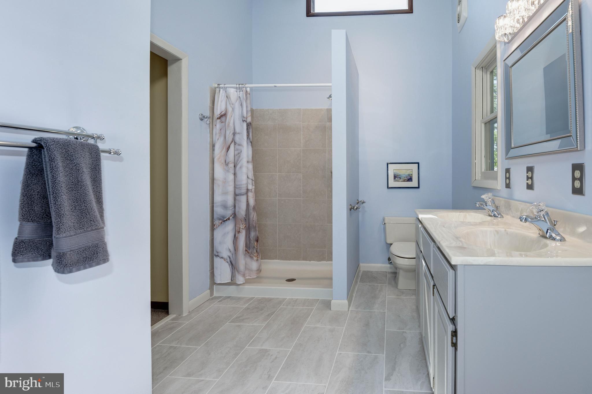 1619 Summit Drive Haymarket, VA 20169 - Photo 21 of 62 a bathroom with a sink a toilet and shower