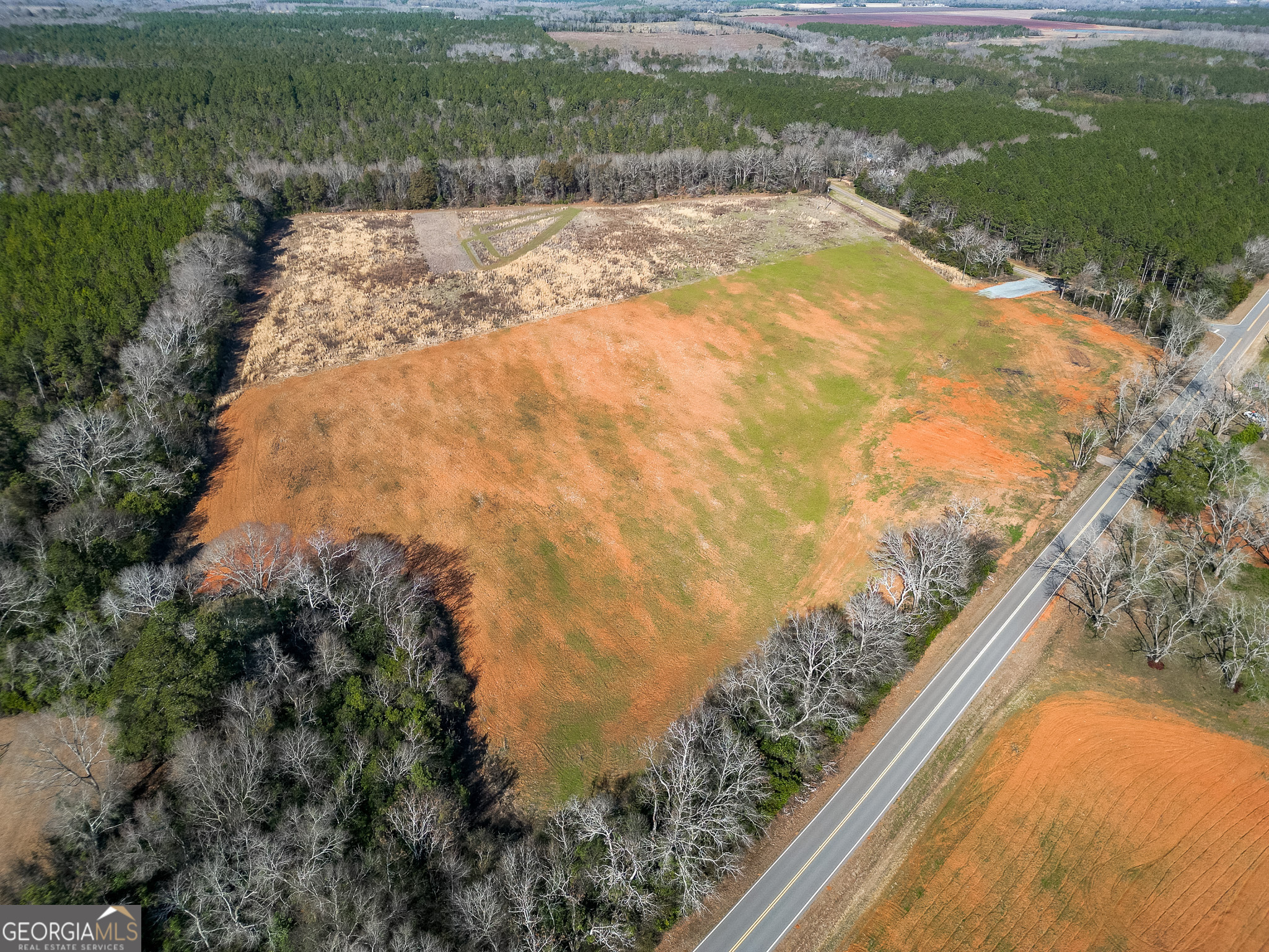 0 Carter Fishpond Road Plains, GA 31780 - Photo 1 of 1
