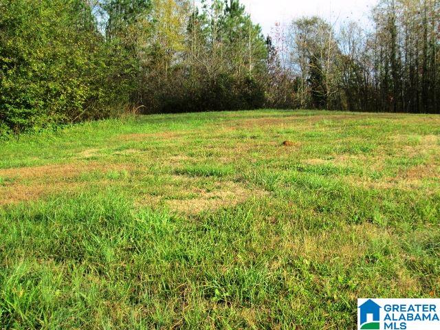 8068 Highway 11 Springville Al, Unit 1 Springville, AL 35146 - Photo 7 of 7