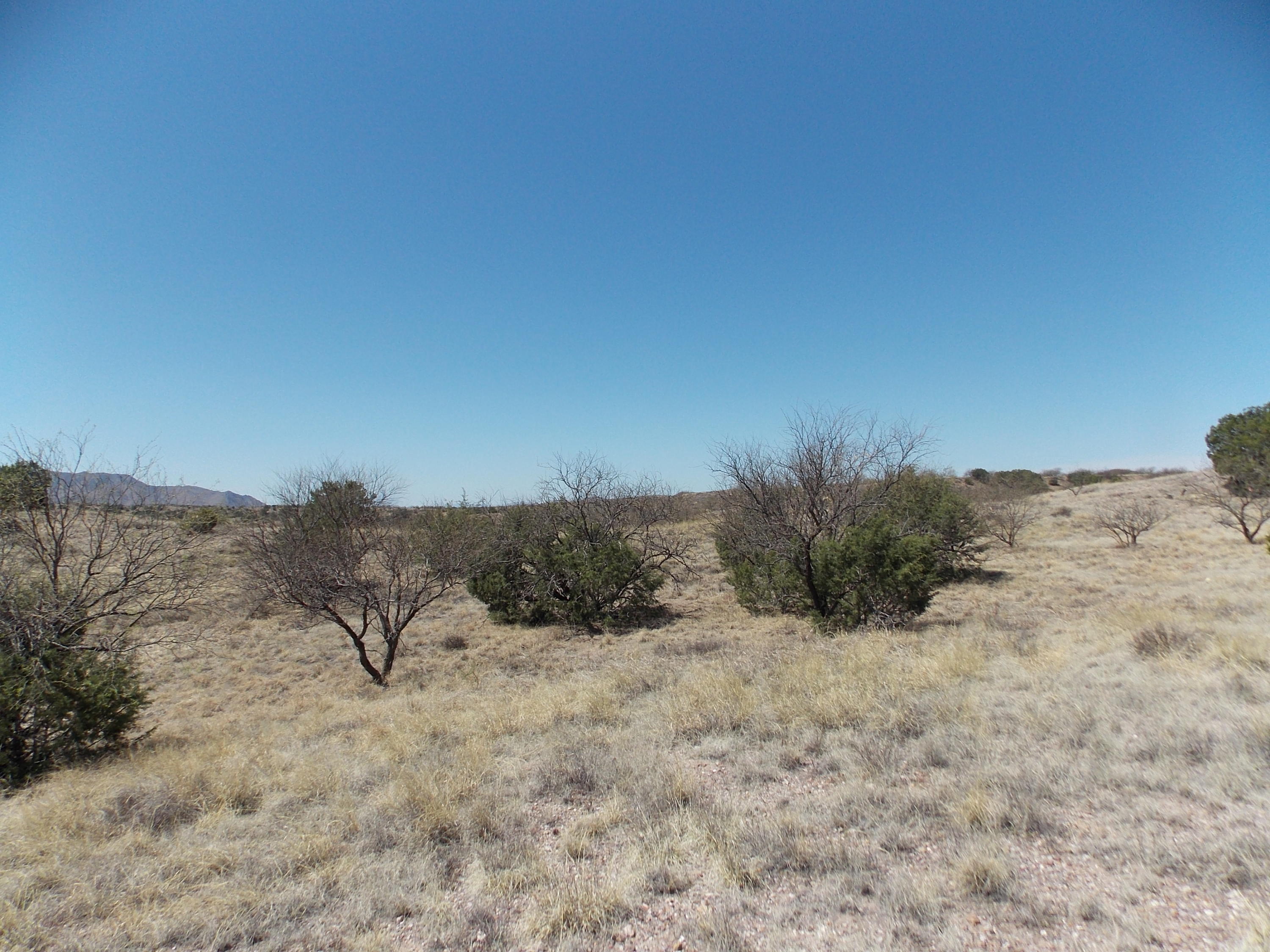 154 Tanglehead, Unit 44 Patagonia, AZ 85624 - Photo 11 of 15