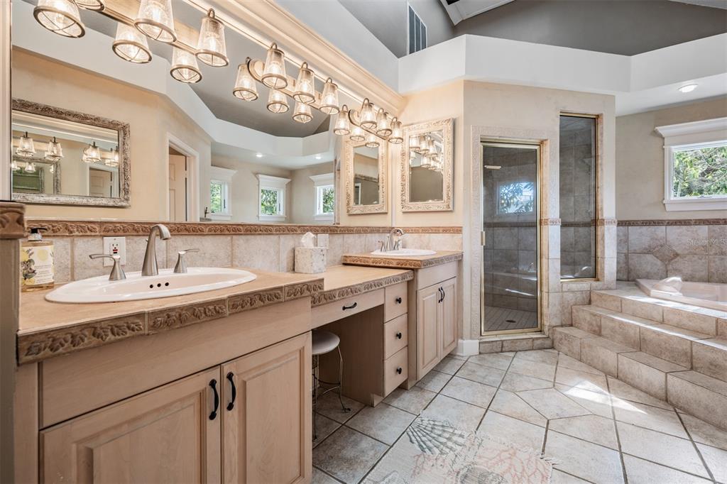 615 North Mayo Street Palm Harbor, FL 34683 - Photo 12 of 73 a spacious bathroom with a granite countertop sink a mirror and a bathtub