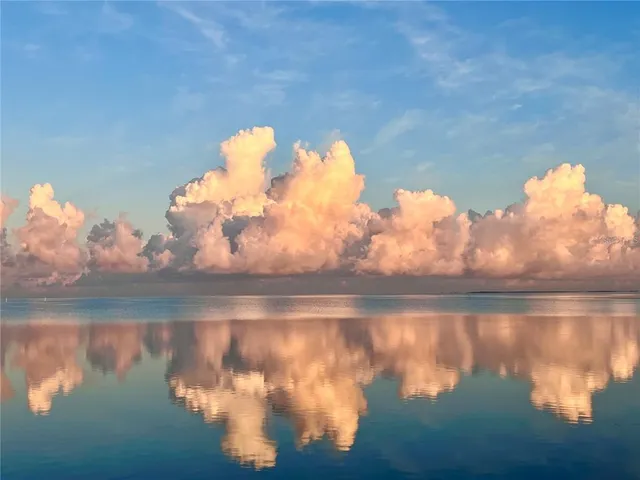 $2,699,500 | 615 North Mayo Street, Palm Harbor, FL 34683