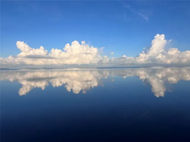 $2,699,500 | 615 North Mayo Street, Palm Harbor, FL 34683