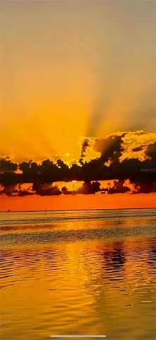 $2,699,500 | 615 North Mayo Street, Palm Harbor, FL 34683