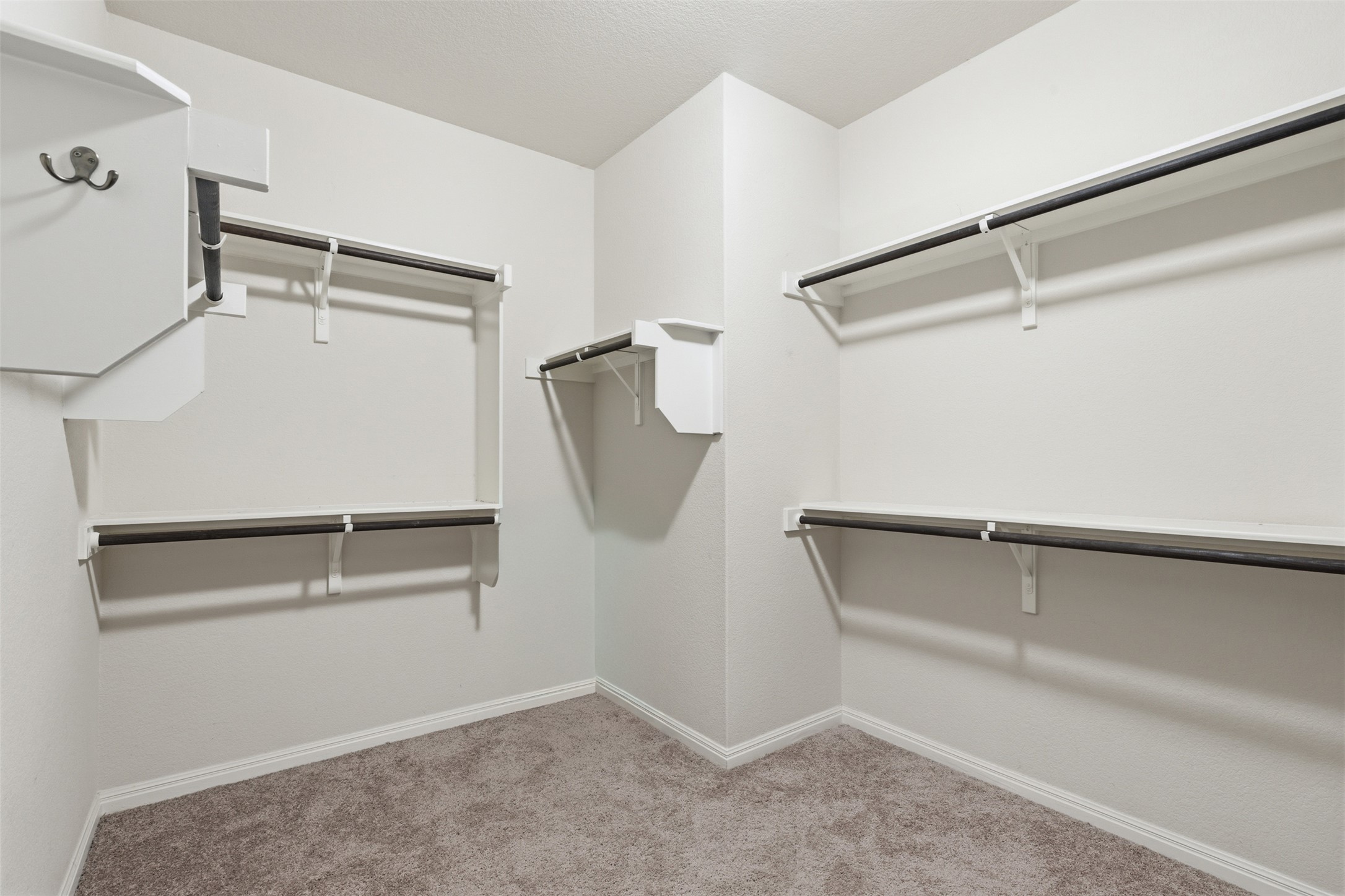 339 Sycamore Street Georgetown, TX 78633 - Photo 16 of 28 Walk in closet featuring light carpet