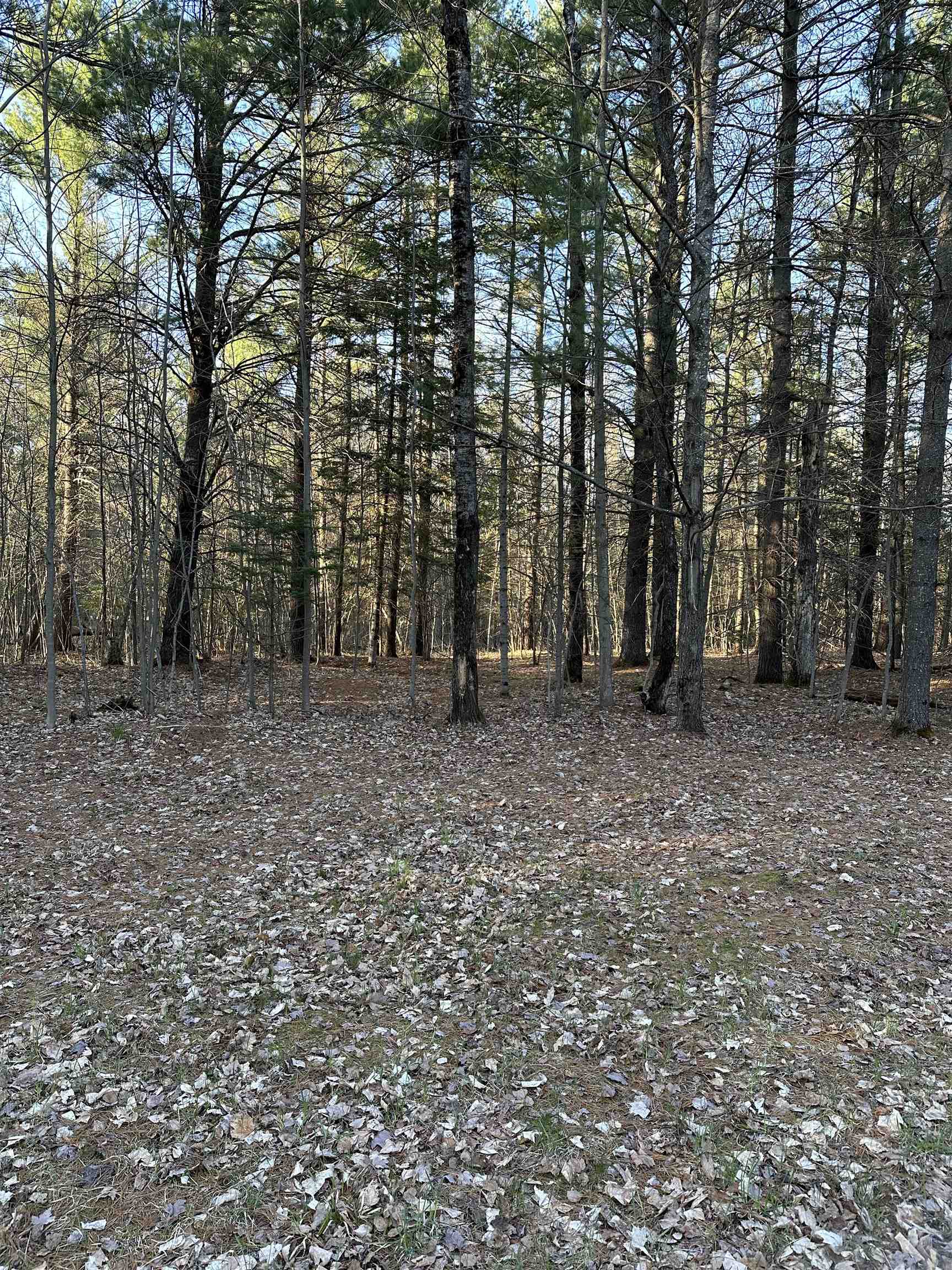 922 Adams Road Northeast Kalkaska, MI 49646 - Photo 15 of 29 Gallery Image 15