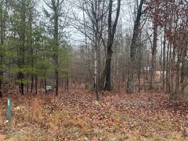 2080 Teludachee Trail, Unit LOT 176 Guild, TN 37340 - Photo 2 of 10 IMG_3597