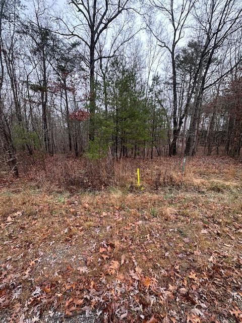 2080 Teludachee Trail, Unit LOT 176 Guild, TN 37340 - Photo 4 of 10 IMG_3601