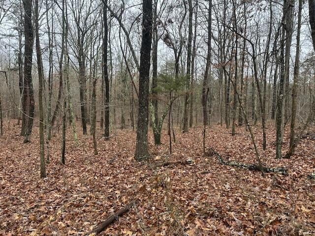 2080 Teludachee Trail, Unit LOT 176 Guild, TN 37340 - Photo 5 of 10 IMG_3603
