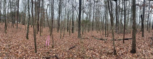 2080 Teludachee Trail, Unit LOT 176 Guild, TN 37340 - Photo 6 of 10 IMG_3604