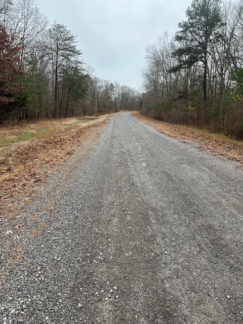 2080 Teludachee Trail, Unit LOT 176 Guild, TN 37340 - Photo 7 of 10 IMG_3599