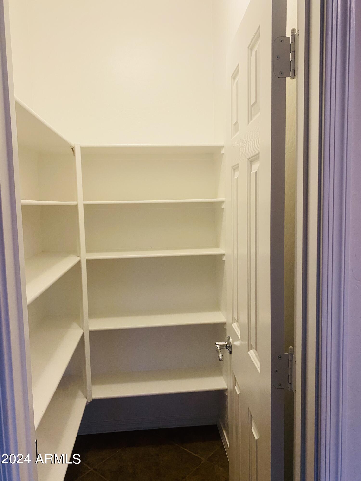 5230 West Red Bird Road Phoenix, AZ 85083 - Photo 6 of 26 a view of walk in closet with empty racks