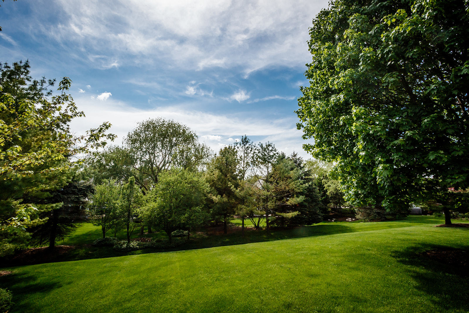 1058 Dove Way Cary, IL 60013 - Photo 38 of 38