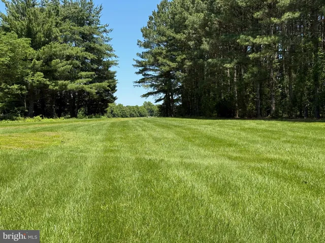 a view of a golf course with a lake