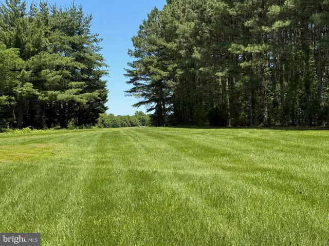 a view of a park with large trees