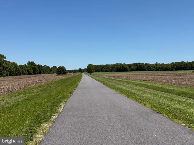 a view of field with trees in the background