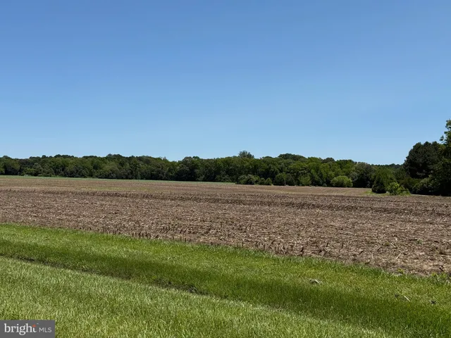a view of a field with trees