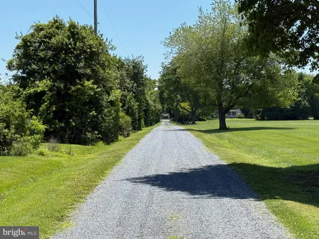 a view of outdoor space with deck and trees