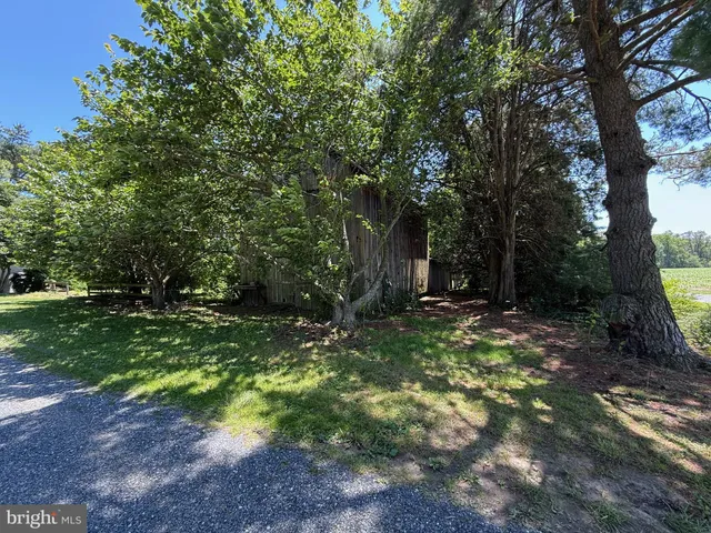 a view of an empty room with a window and fireplace