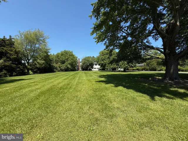a view of an empty room with wooden floor fireplace and a window