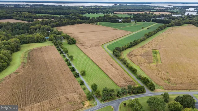 a view of livingroom with furniture a fireplace and windows