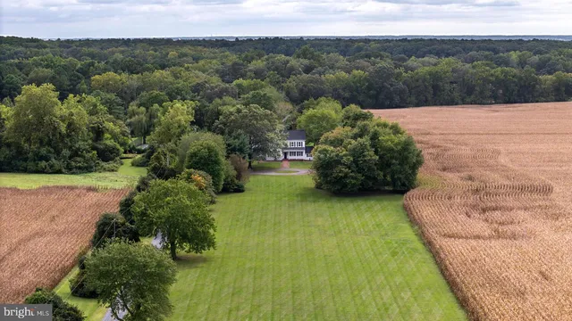 a white house with a big yard plants and large trees