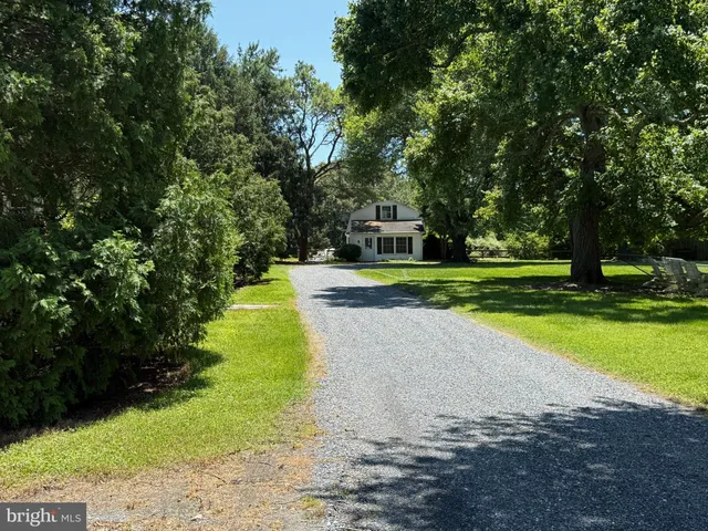 a view of a field with a trees in the background