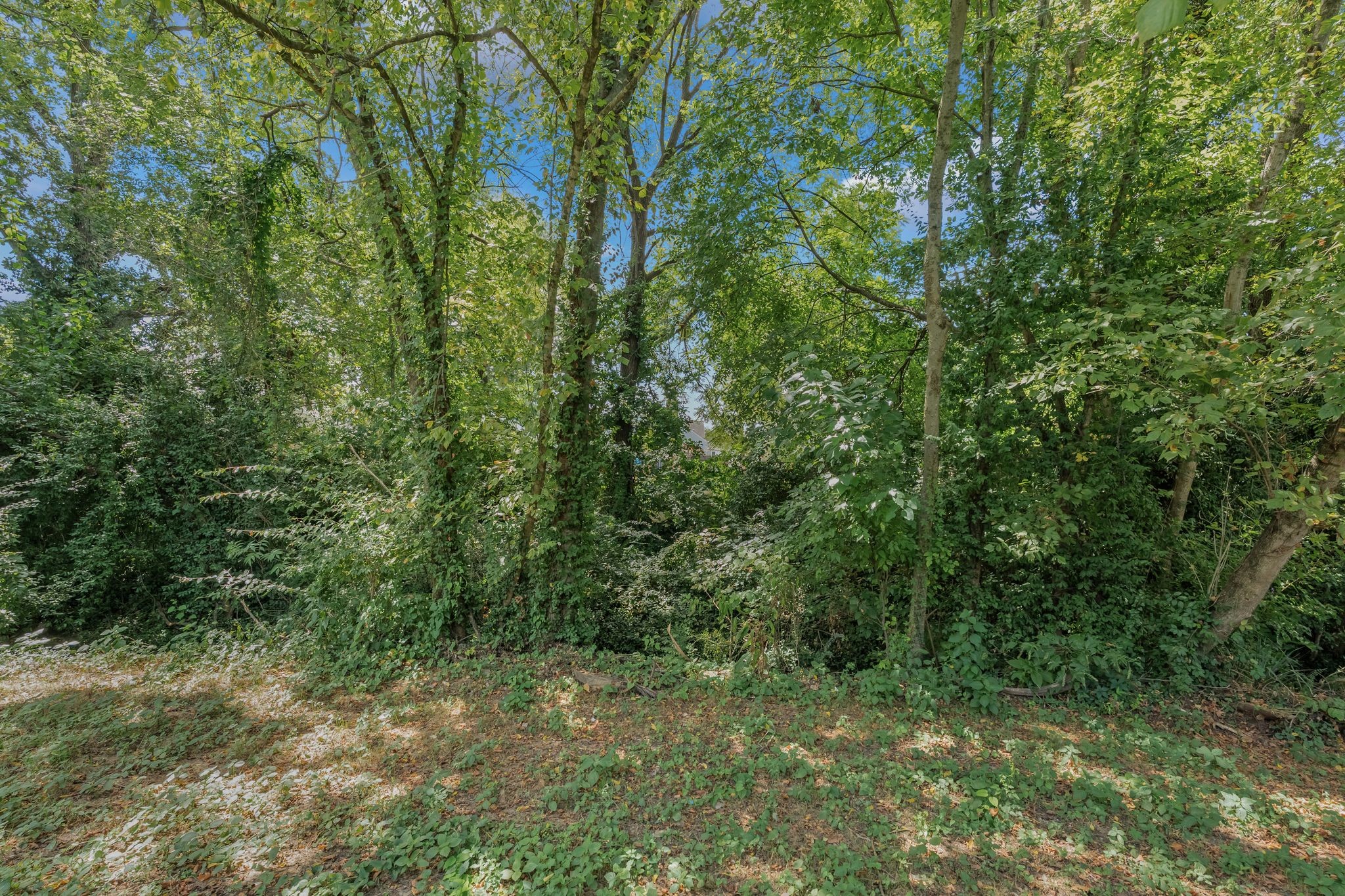 4017 Murphy Road Nashville, TN 37209 - Photo 50 of 52 Gallery Image 50