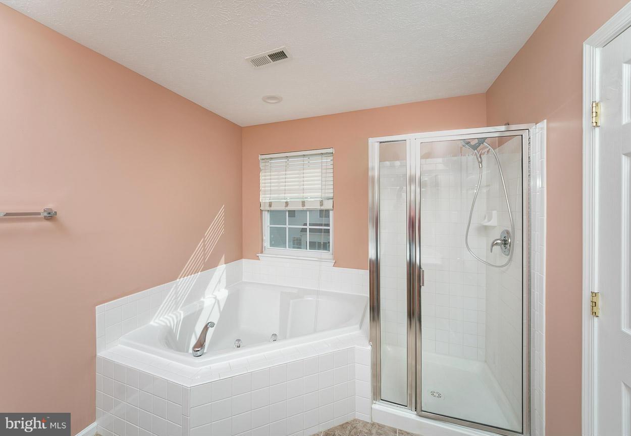 9709 Biggs Road Baltimore, MD 21220 - Photo 17 of 30 Bath (Master)
