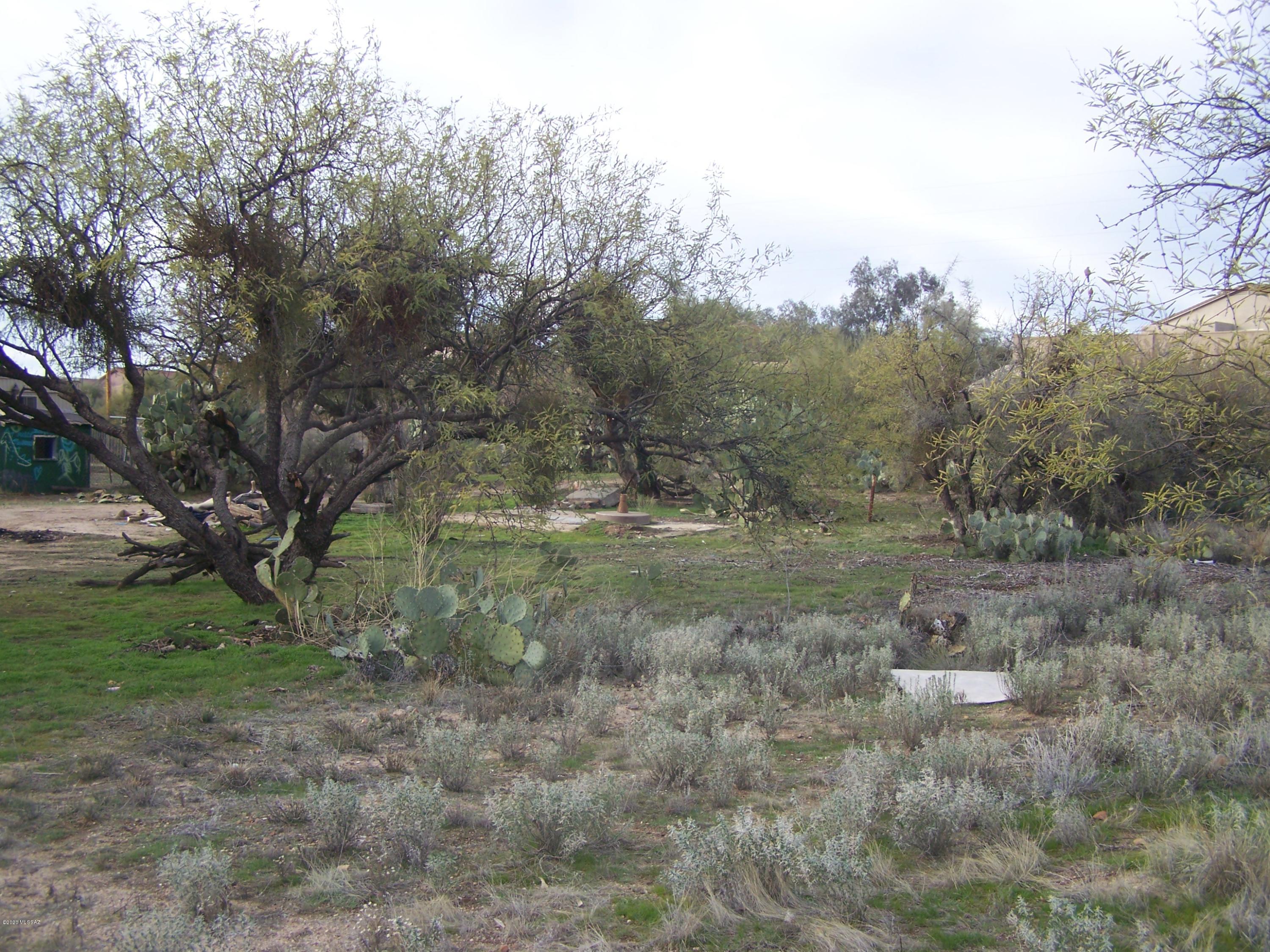 3440 East Edwin Road Tucson, AZ 85739 - Photo 19 of 41 Gallery Image 19