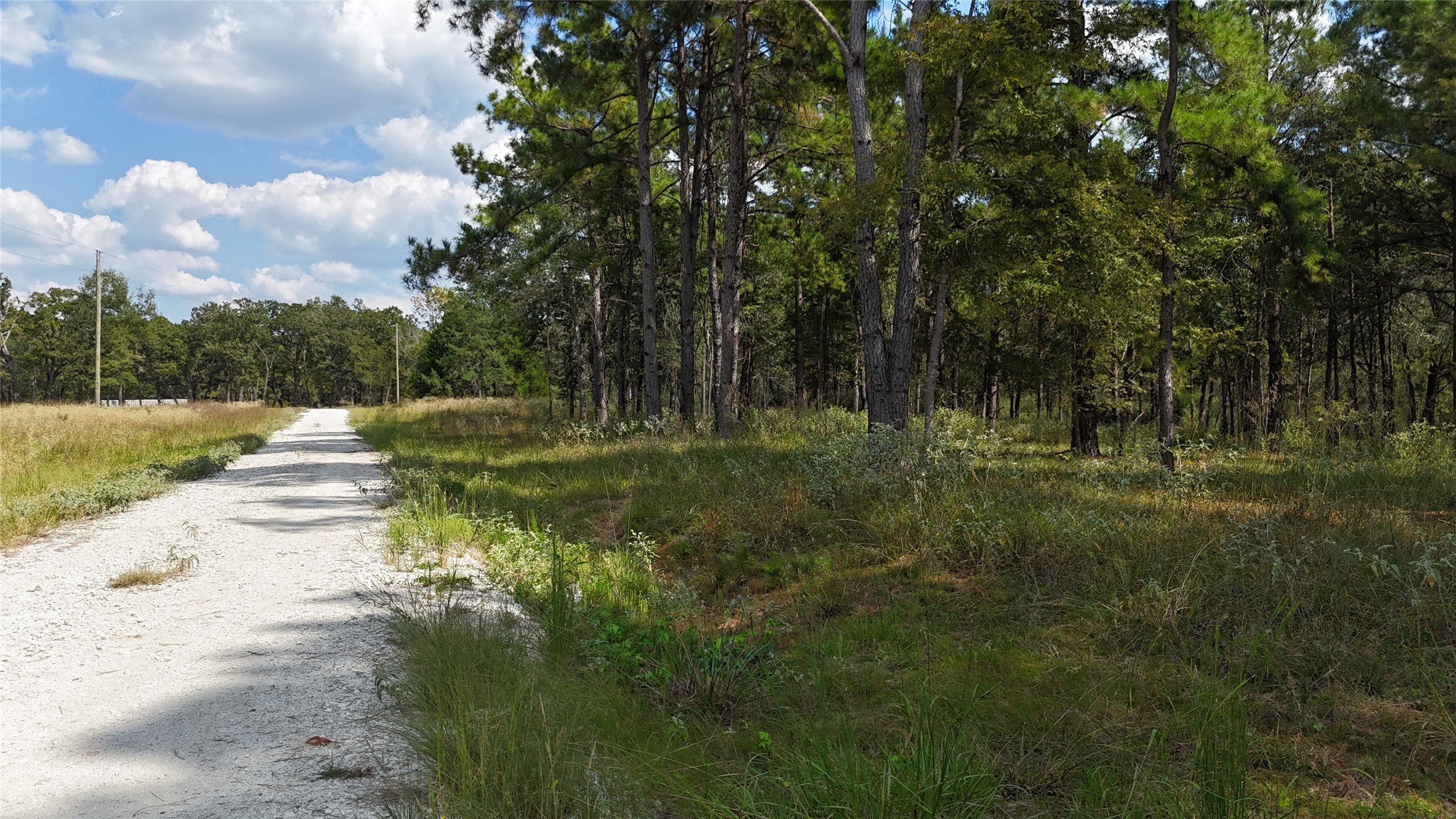 Tbd Tbd Cherokee Trail Lovelady, TX 75851 - Photo 12 of 12 Gravel roads throughout subdivision.