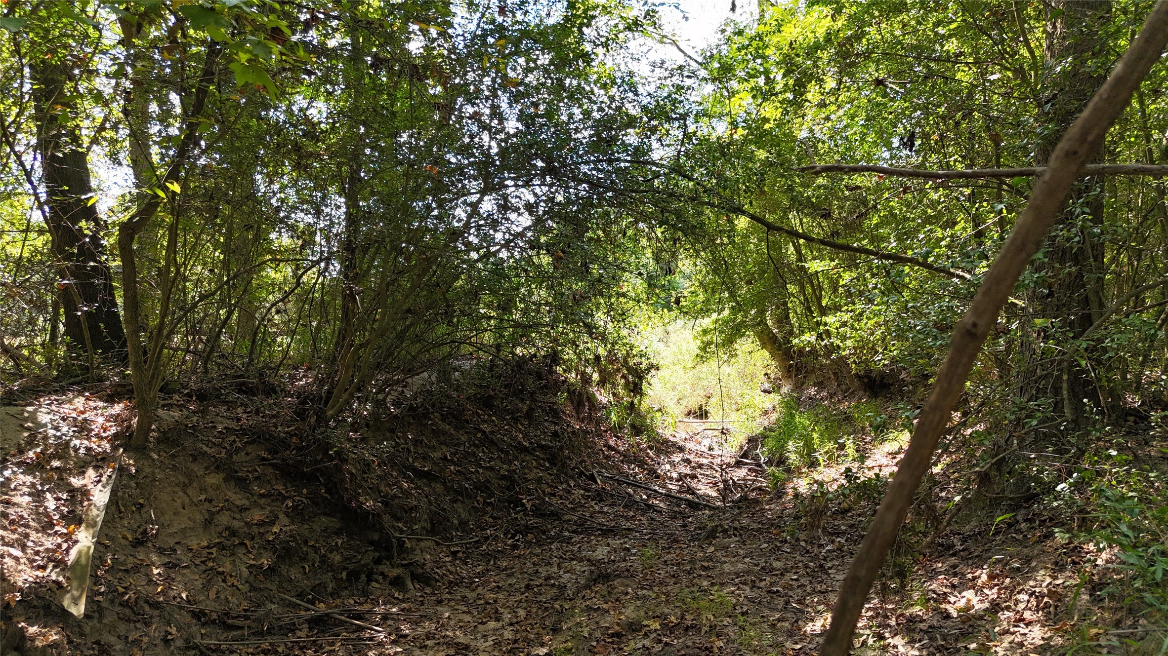 Tbd Tbd Cherokee Trail Lovelady, TX 75851 - Photo 4 of 12 Beautiful creek runs along the backside of the property.