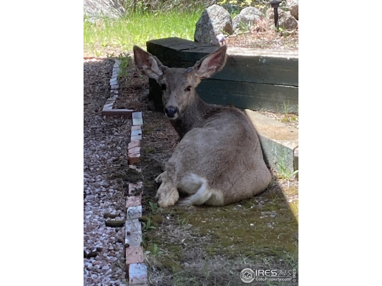 107 Deer Trail Road Boulder, CO 80302 - Photo 16 of 40 a bathroom with a sink and a mirror