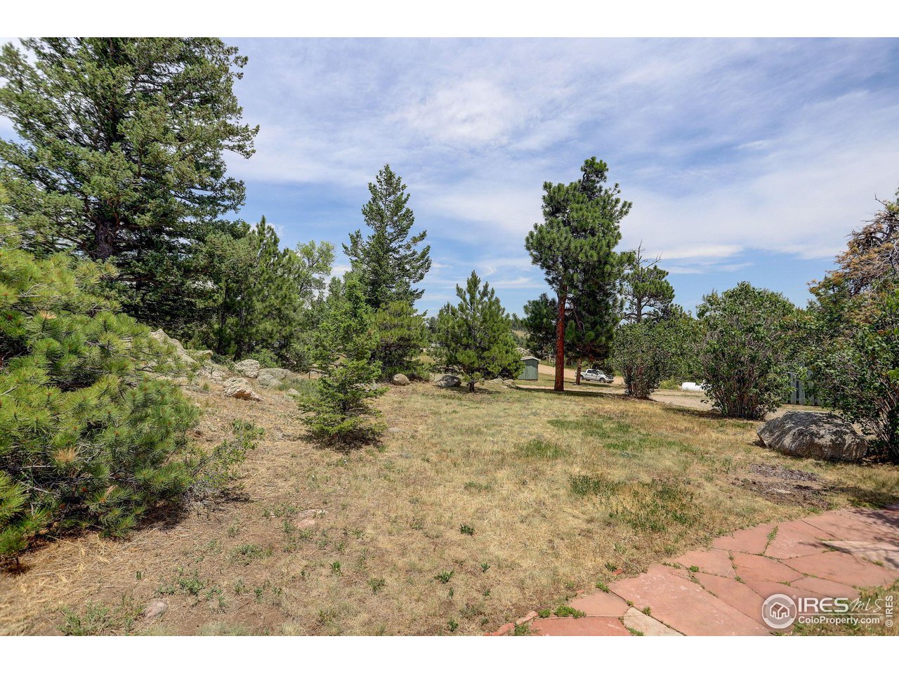 107 Deer Trail Road Boulder, CO 80302 - Photo 19 of 40 a view of a yard with trees in front of it