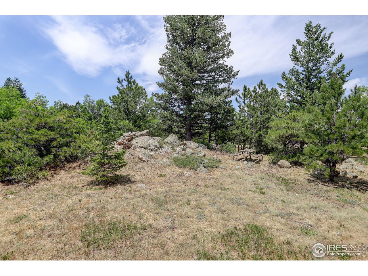 107 Deer Trail Road Boulder, CO 80302 - Photo 2 of 40 a view of a dry yard