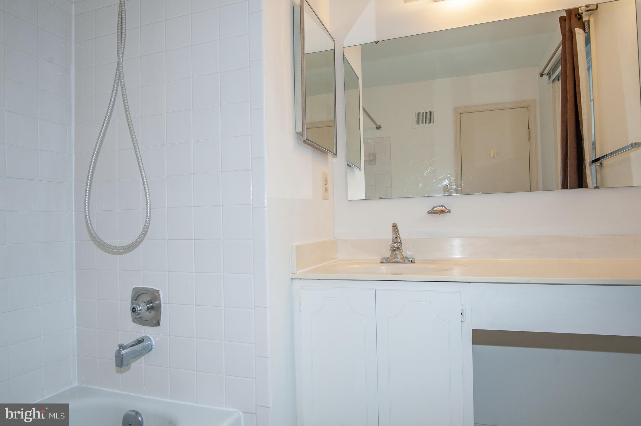8002 Sleepy View Lane Springfield, VA 22153 - Photo 15 of 25 Owner's Bath