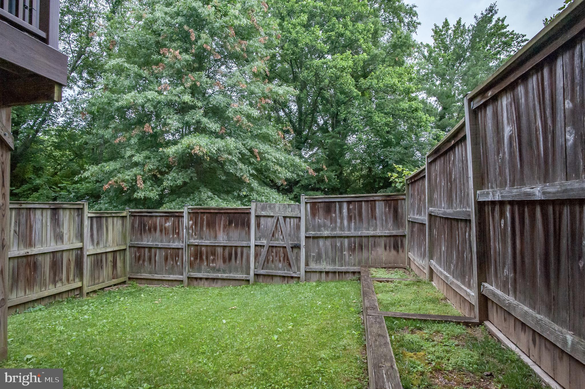 8002 Sleepy View Lane Springfield, VA 22153 - Photo 22 of 25 Backyard