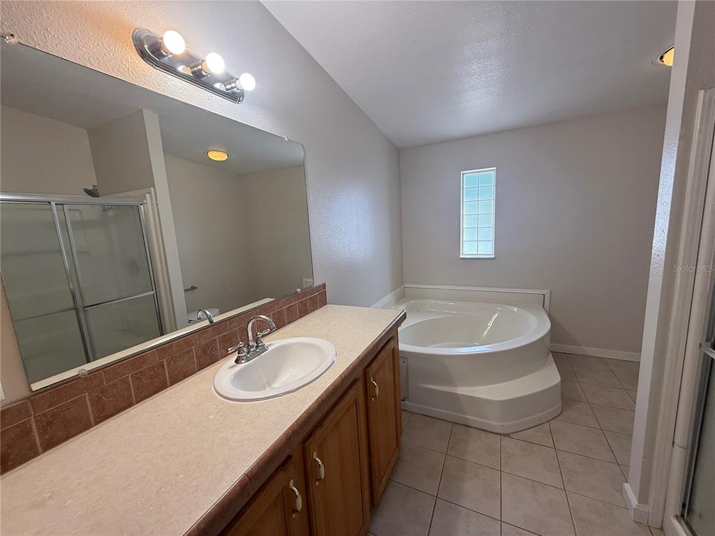 954 Brook Road North Fort Meade, FL 33841 - Photo 11 of 21 a bathroom with a sink a toilet and a mirror