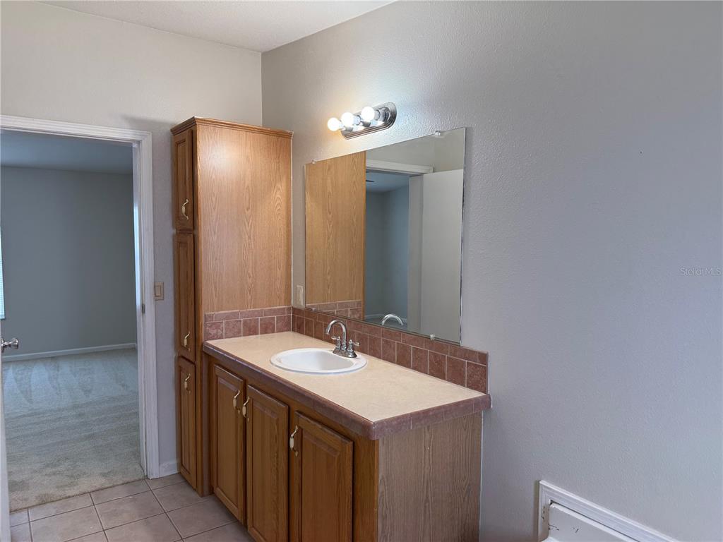 954 Brook Road North Fort Meade, FL 33841 - Photo 12 of 21 a bathroom with a sink and a mirror