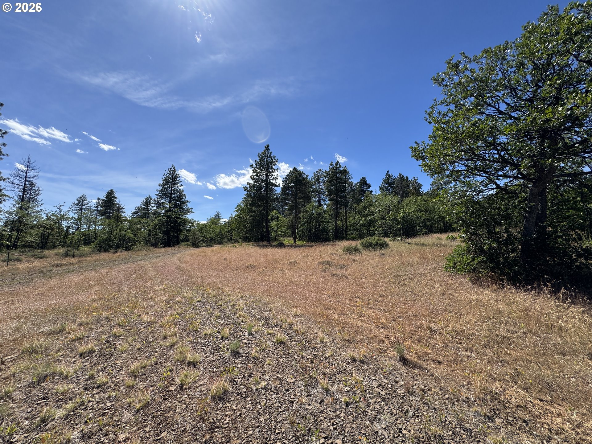 112 Timber Road Roosevelt, WA 99356 - Photo 14 of 31