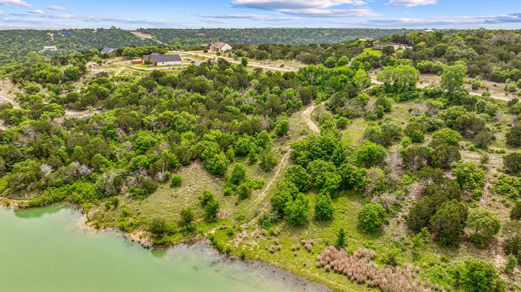 1165 Anchor Way Bluff Dale, TX 76433 - Photo 12 of 40 a view of a forest with a lake