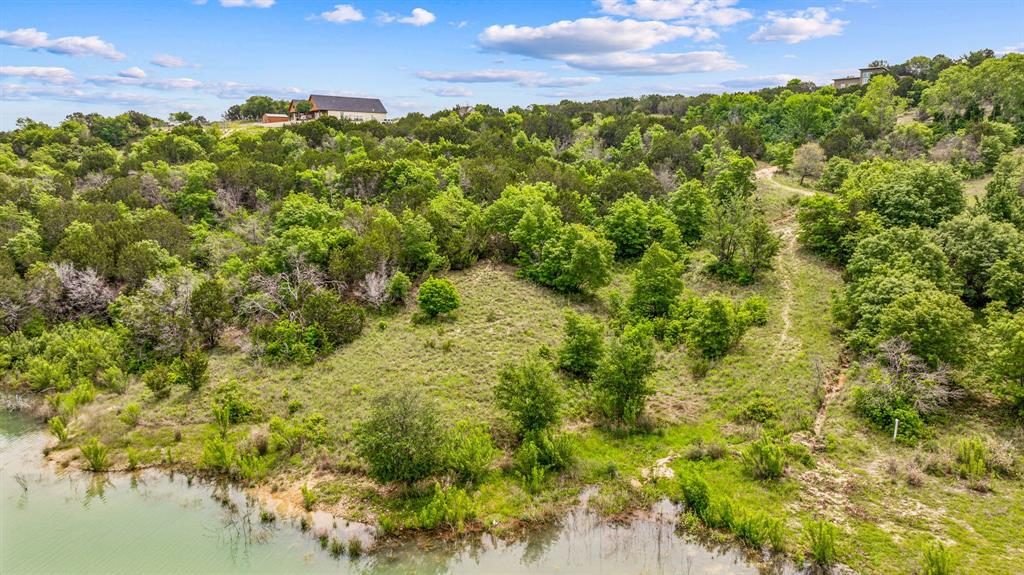 1165 Anchor Way Bluff Dale, TX 76433 - Photo 21 of 40 a view of a bunch of trees in a yard