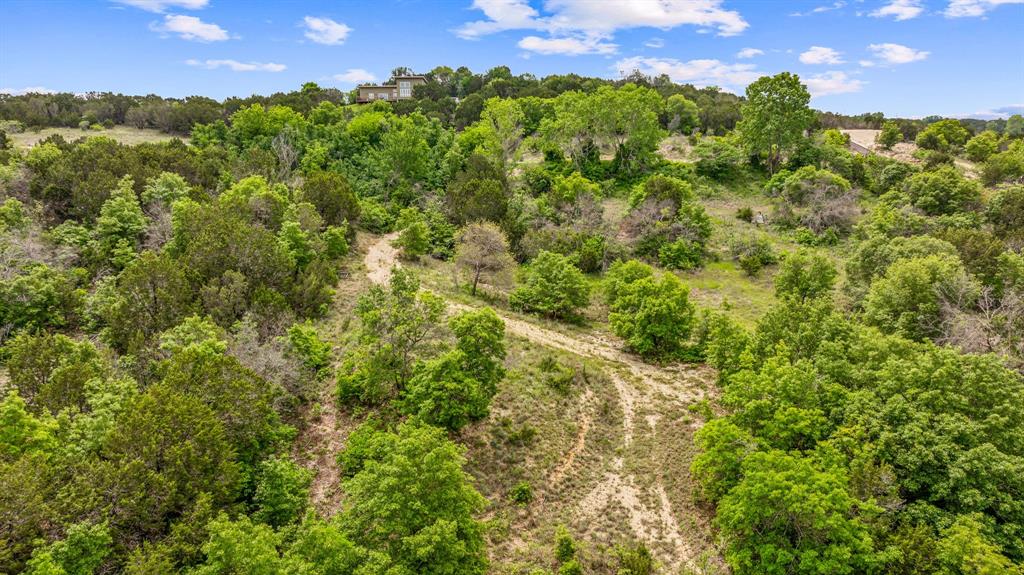 1165 Anchor Way Bluff Dale, TX 76433 - Photo 23 of 40 a view of a bunch of plants and tree