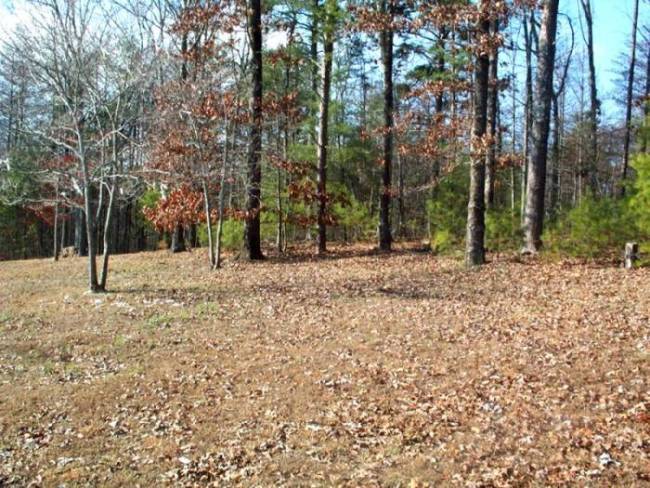 9324 Smith Cemetery Road Soddy Daisy, TN 37379 - Photo 4 of 5 Additional Photo